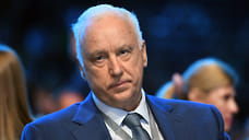 Бастрыкин поручил узнать, кто избил ребенка в Ярославле